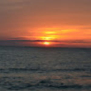 Meet your Posher, Vivian